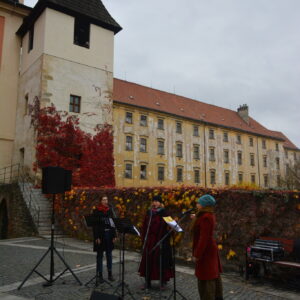 © P. Kožušníková